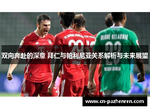 双向奔赴的深意 拜仁与帕利尼亚关系解析与未来展望