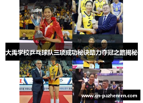 大禹学校乒乓球队三项成功秘诀助力夺冠之路揭秘