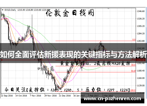 如何全面评估新援表现的关键指标与方法解析