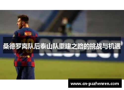 桑德罗离队后泰山队重建之路的挑战与机遇
