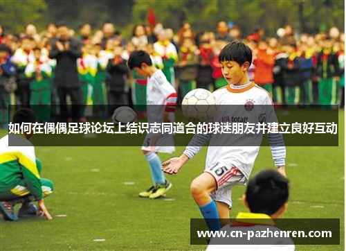 如何在偶偶足球论坛上结识志同道合的球迷朋友并建立良好互动