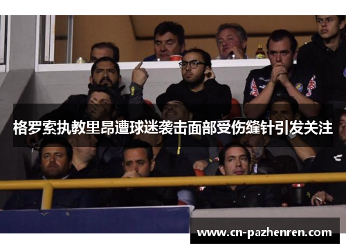 格罗索执教里昂遭球迷袭击面部受伤缝针引发关注